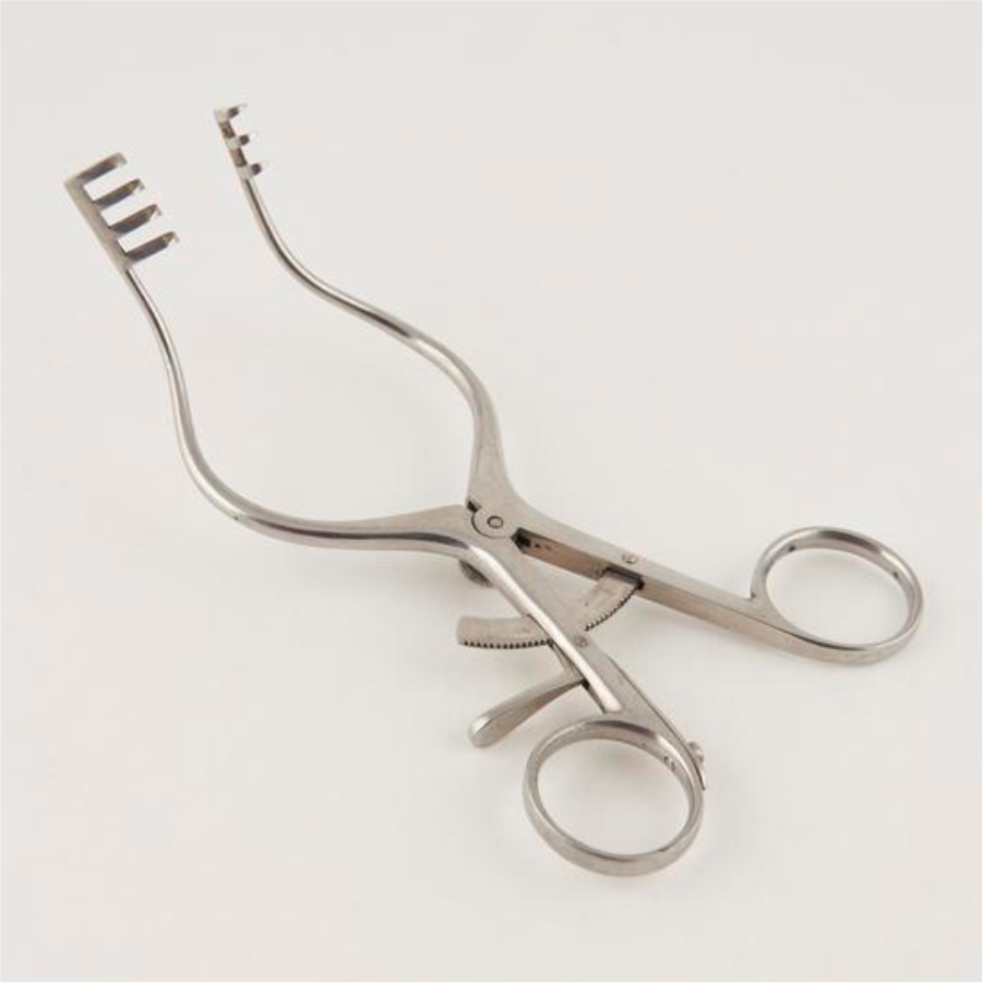 Vaishanav Surgical Mastoid Retractor